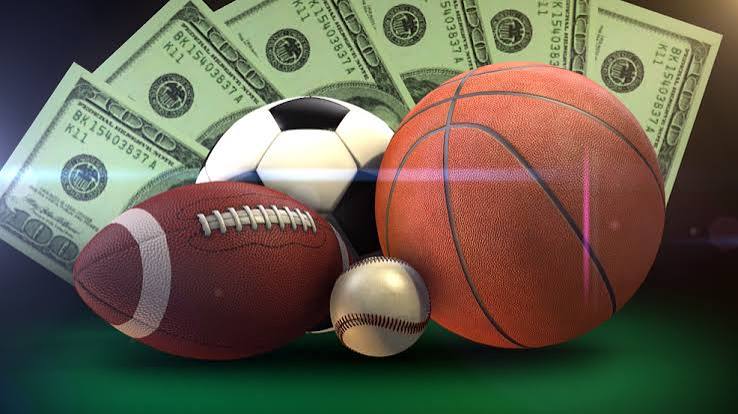 The Rise of Bedwinner Shaping the Future of Online Betting The Rise of Bedwinner Shaping the Future of Online Betting