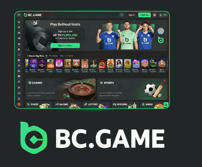 Unlock Exciting BC.Game Bonuses and Promo Codes A Comprehensive Guide